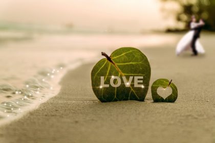 Love Marriage