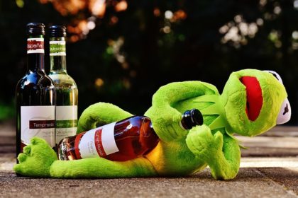 kermit-1651615_640
