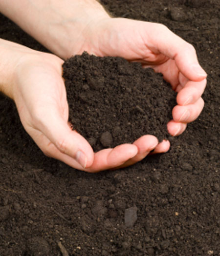 Module 001 International (Clone)